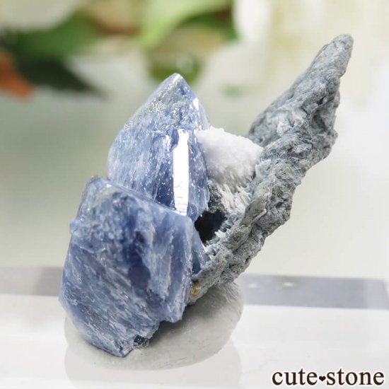 ե˥ ٥˥ȥȤդ뾽ʸС 2.3gμ̿2 cute stone