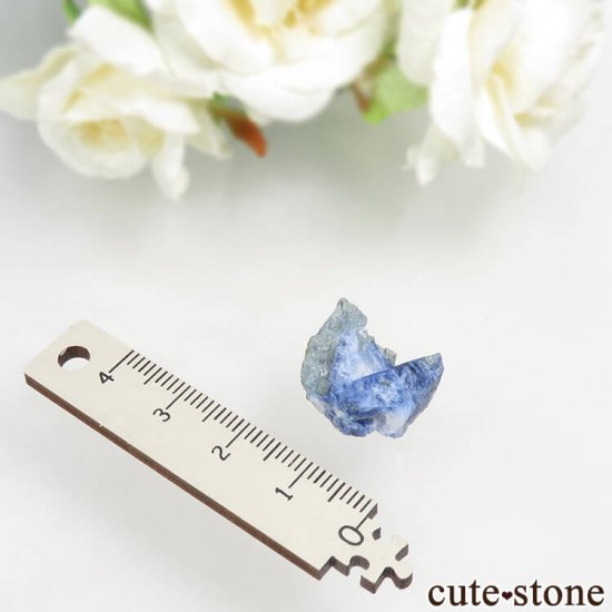 ե˥ ٥˥ȥȤդ뾽ʸС 2.3gμ̿4 cute stone