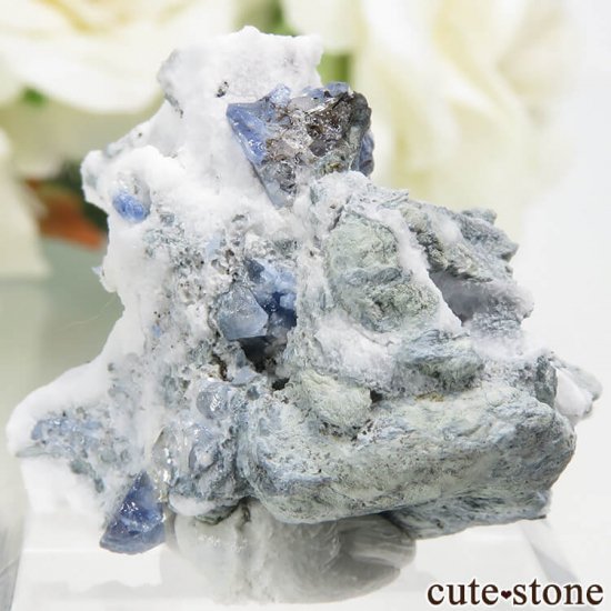 ե˥ ٥˥ȥȡͥץʥȤդ뾽ʸС 7.4gμ̿0 cute stone