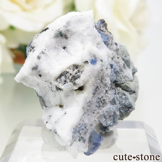 ե˥ ٥˥ȥȡͥץʥȤդ뾽ʸС 7.4gμ̿1 cute stone