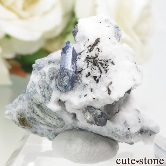 ե˥ ٥˥ȥȡͥץʥȤդ뾽ʸС 7.4gμ̿2 cute stone