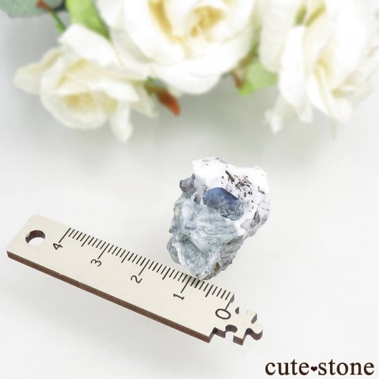ե˥ ٥˥ȥȡͥץʥȤդ뾽ʸС 7.4gμ̿5 cute stone