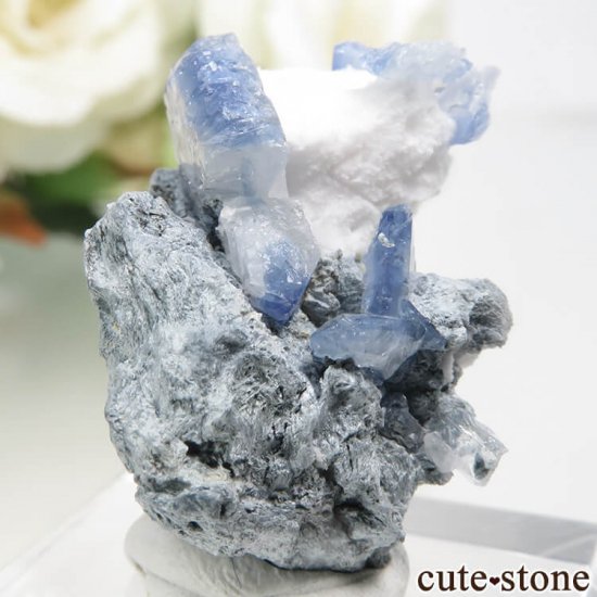ե˥ ٥˥ȥȤդ뾽ʸС 4.6gμ̿0 cute stone