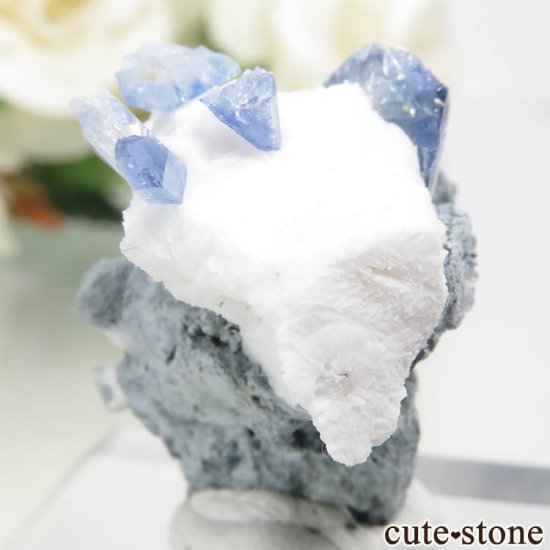 ե˥ ٥˥ȥȤդ뾽ʸС 4.6gμ̿2 cute stone