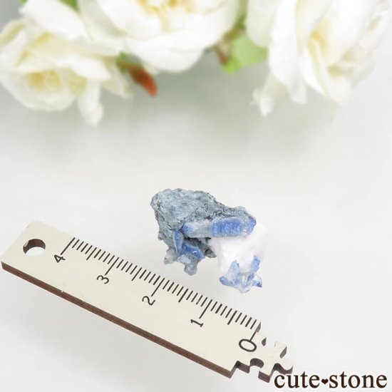ե˥ ٥˥ȥȤդ뾽ʸС 4.6gμ̿3 cute stone