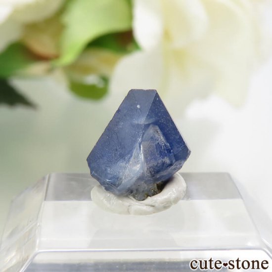 ե˥ ٥˥ȥȤη뾽ʸС 1.6ctμ̿1 cute stone