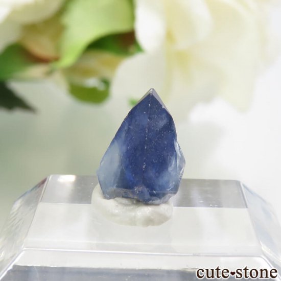 ե˥ ٥˥ȥȤη뾽ʸС 1.6ctμ̿2 cute stone