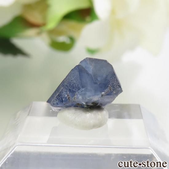 ե˥ ٥˥ȥȤη뾽ʸС 1.8ctμ̿1 cute stone