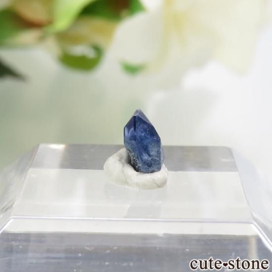 ե˥ ٥˥ȥȤη뾽ʸС 0.2ctμ̿0 cute stone