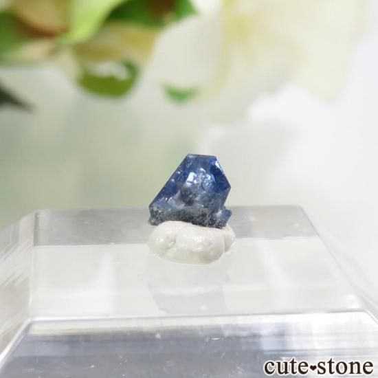 ե˥ ٥˥ȥȤη뾽ʸС 0.2ctμ̿1 cute stone
