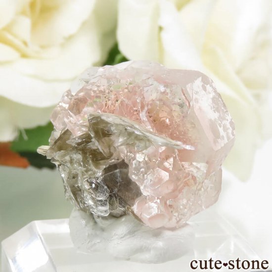 ѥ Chumar Bakhoor ԥ󥯥ե饤ȡ⥹ХȡʸС 10.5gμ̿0 cute stone