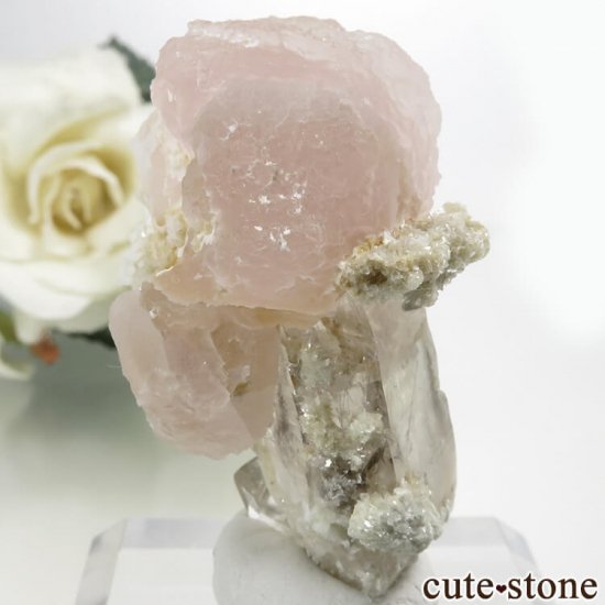 ѥ Chumar Bakhoor ԥ󥯥ե饤ȡġʸС 30.1gμ̿0 cute stone
