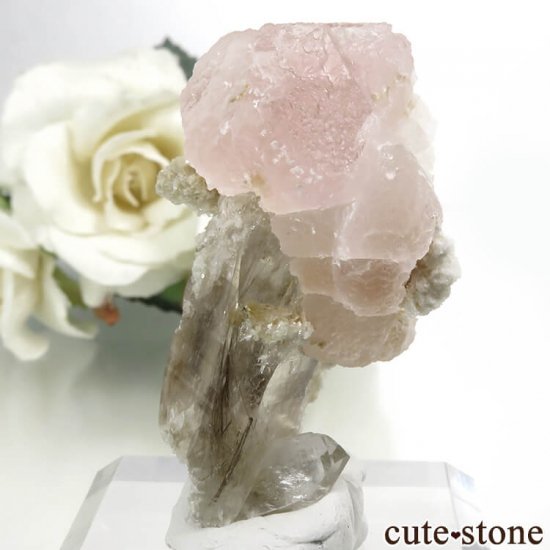 ѥ Chumar Bakhoor ԥ󥯥ե饤ȡġʸС 30.1gμ̿2 cute stone