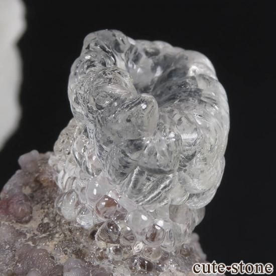 ᥭ Villa Garcia Municipality ϥ饤(ѡ)դ 10.1gμ̿4 cute stone