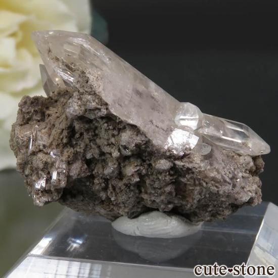 ᥭ Villa Garcia Municipality ȥѡդ뾽ʸС10.1gμ̿1 cute stone