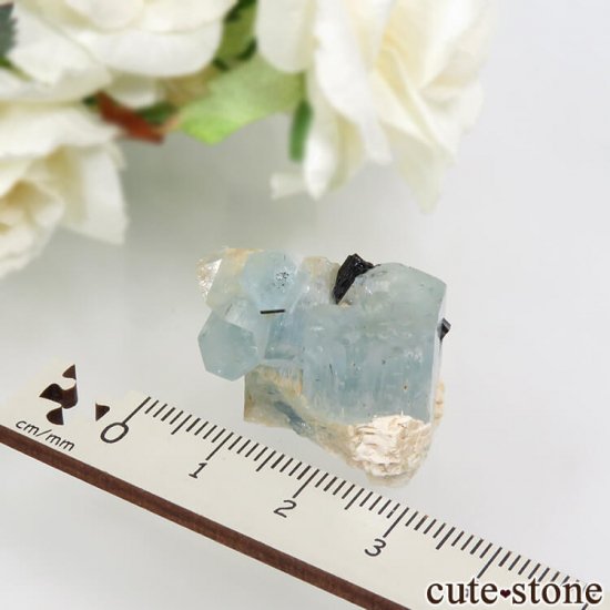 ʥߥӥ 󥴻 ޥ&֥åȥޥη뾽ʸС11.9gμ̿3 cute stone