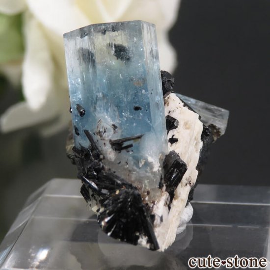 ナミビア エロンゴ産 アクアマリン&ブラックトルマリンの結晶（原石