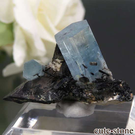 ナミビア エロンゴ産 アクアマリン&ブラックトルマリンの結晶（原石 