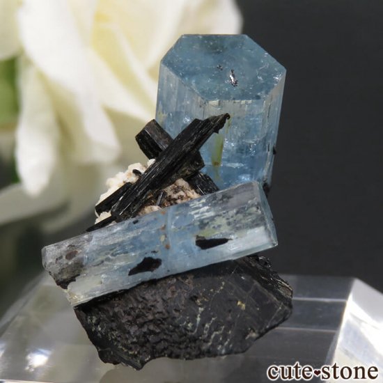 ʥߥӥ 󥴻 ޥ&֥åȥޥη뾽ʸС5.5gμ̿2 cute stone