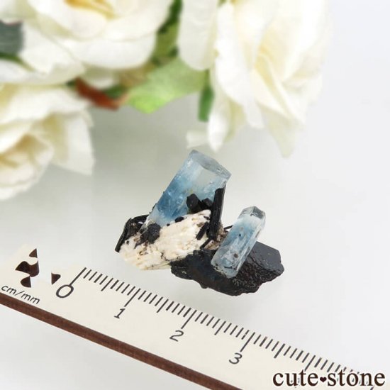 ʥߥӥ 󥴻 ޥ&֥åȥޥη뾽ʸС5.5gμ̿3 cute stone