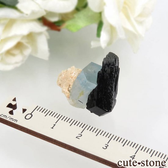 ʥߥӥ 󥴻 ޥ&֥åȥޥη뾽ʸС6.2gμ̿3 cute stone