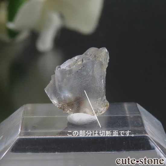  뻺 եʥȤñη뾽ʸС 1ctμ̿1 cute stone