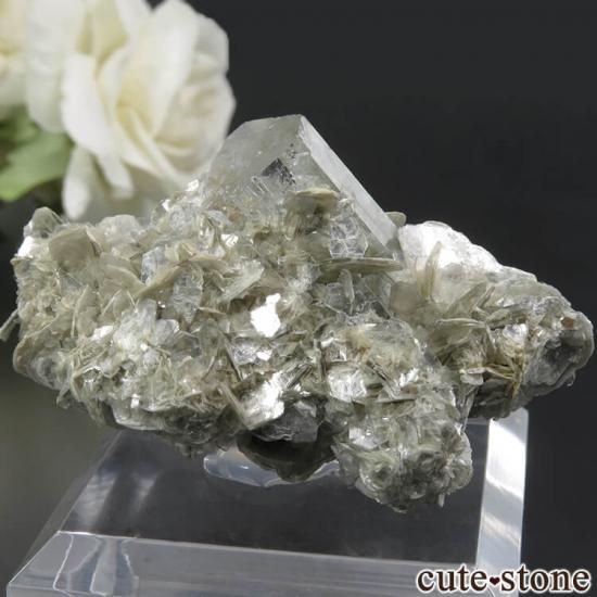 ѥ Chumar Bakhoor ʥȡ⥹ХȤդ뾽ʸС 28.4gμ̿1 cute stone