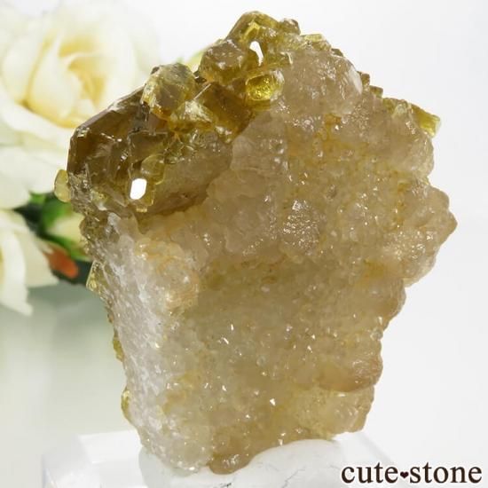 Х饤Ȥդ뾽ʸС 53gμ̿1 cute stone