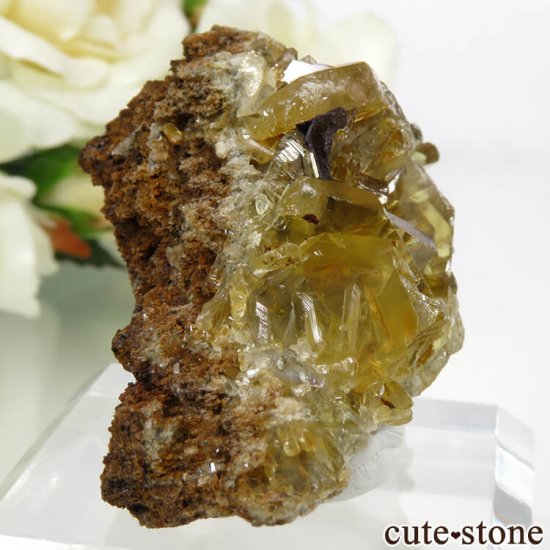  Х饤Ȥդ뾽ʸС 47.2gμ̿0 cute stone