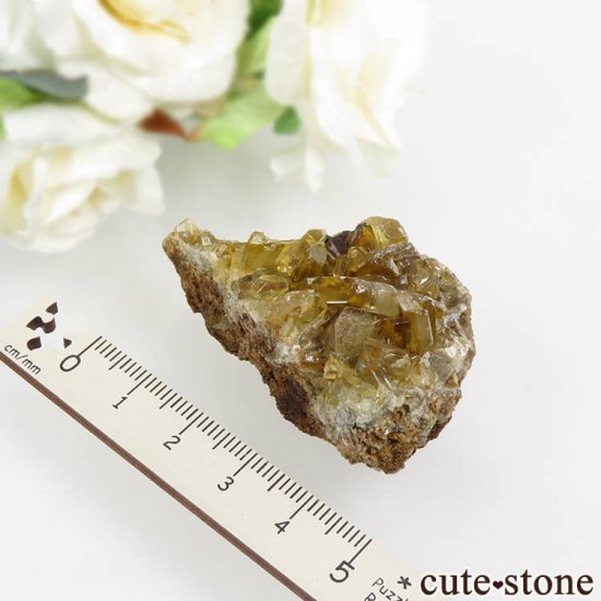  Х饤Ȥդ뾽ʸС 47.2gμ̿4 cute stone