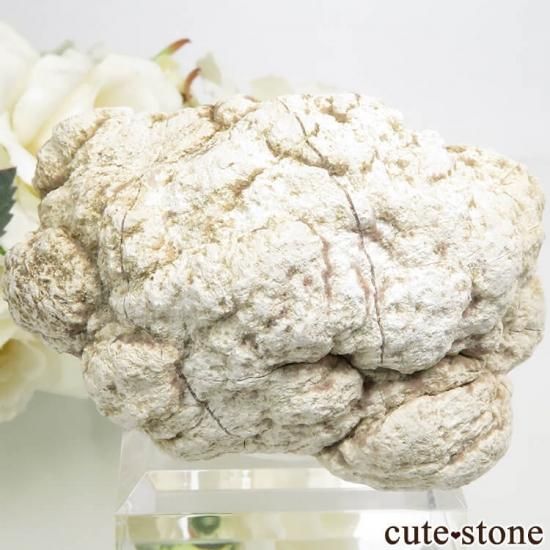 를 ԥ󥯥᥸ȡ륵ȤθСʥ饹123gμ̿1 cute stone