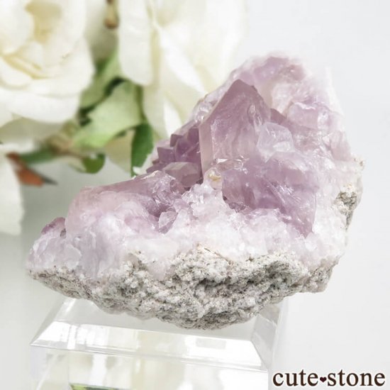 를 ԥ󥯥᥸ȤθСʥ饹48.2gμ̿2 cute stone