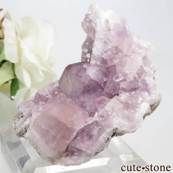 를 ԥ󥯥᥸ȤθСʥ饹48.2gμ̿2 cute stone