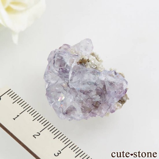 䥪󥷥 ѡץ֥롼ե饤 14.4gμ̿3 cute stone