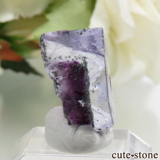 䥪󥷥 ֥롼ե饤 2.4gμ̿0 cute stone