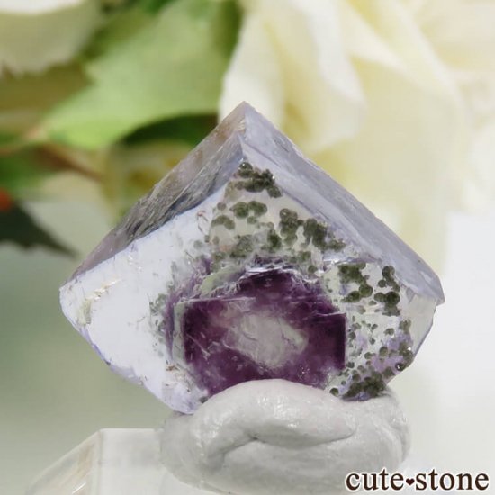 䥪󥷥 ֥롼ե饤 2.4gμ̿1 cute stone