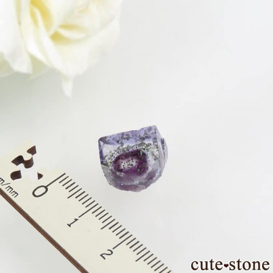 䥪󥷥 ֥롼ե饤 2.4gμ̿3 cute stone
