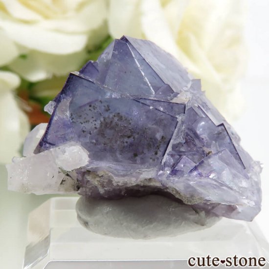 䥪󥷥 ѡץ֥롼ե饤 17.9gμ̿0 cute stone