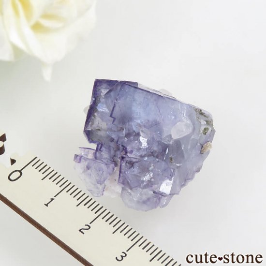 䥪󥷥 ѡץ֥롼ե饤 17.9gμ̿4 cute stone