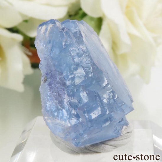 䥪󥷥 ֥롼ե饤 12.2gμ̿0 cute stone