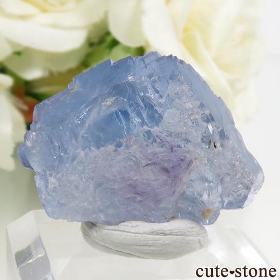 䥪󥷥 ֥롼ե饤 12.2gμ̿1 cute stone