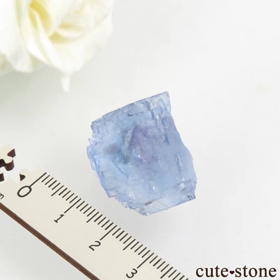 䥪󥷥 ֥롼ե饤 12.2gμ̿3 cute stone
