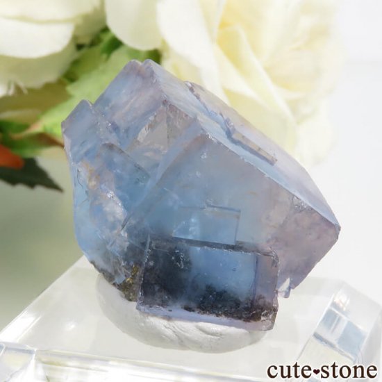 䥪󥷥 ֥롼ե饤 11.8gμ̿0 cute stone