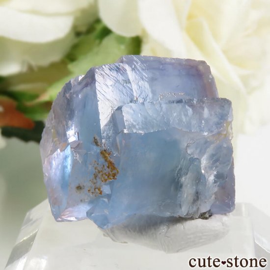 䥪󥷥 ֥롼ե饤 11.8gμ̿1 cute stone