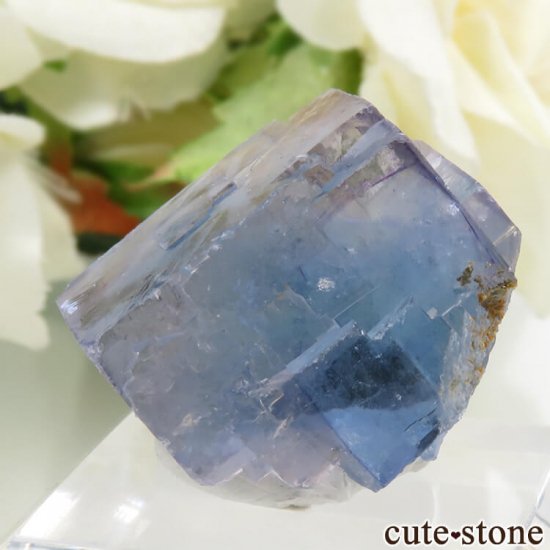 䥪󥷥 ֥롼ե饤 11.8gμ̿2 cute stone