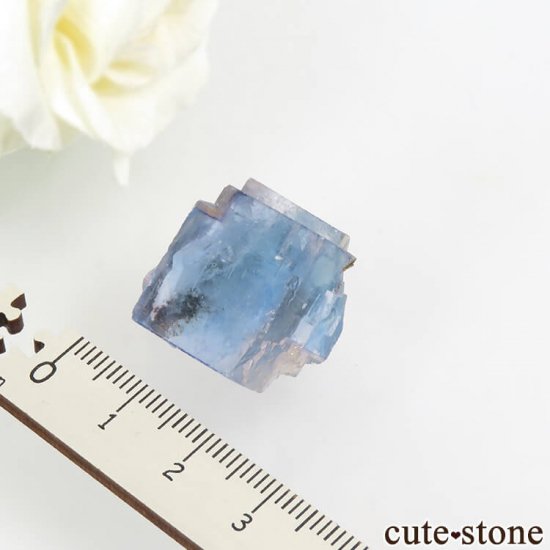 䥪󥷥 ֥롼ե饤 11.8gμ̿3 cute stone