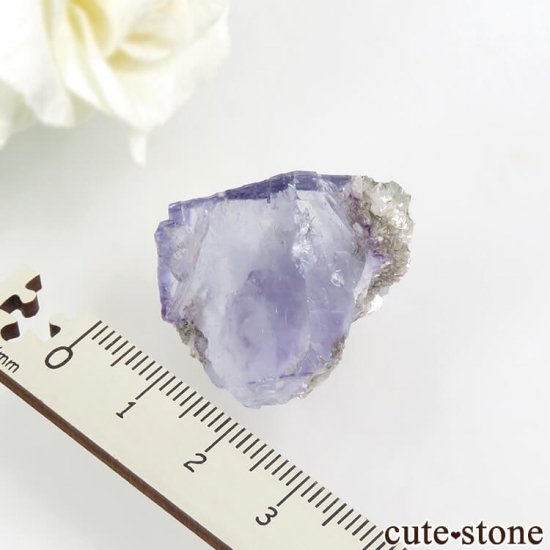 䥪󥷥 ѡץ֥롼ե饤 16.3gμ̿3 cute stone