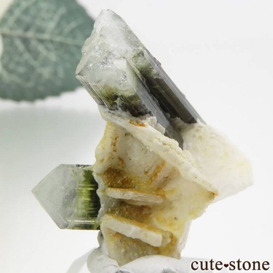 ѥ ɥ ֥롼꡼꡼ۥ磻ȥȥޥη뾽ʸС 4.5gμ̿0 cute stone