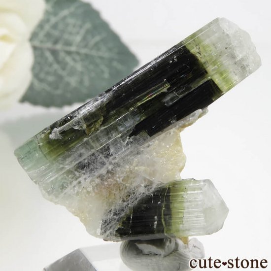 ѥ ɥ ֥롼꡼꡼ۥ磻ȥȥޥη뾽ʸС 4.5gμ̿1 cute stone