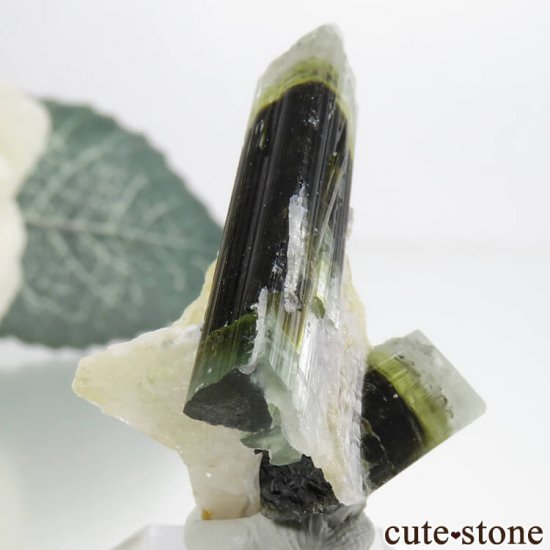 ѥ ɥ ֥롼꡼꡼ۥ磻ȥȥޥη뾽ʸС 4.5gμ̿2 cute stone